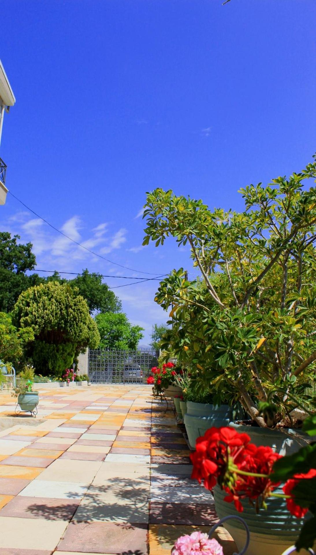 Olyna'S Apartment N.S Preveza Nea Sampsounta Екстериор снимка